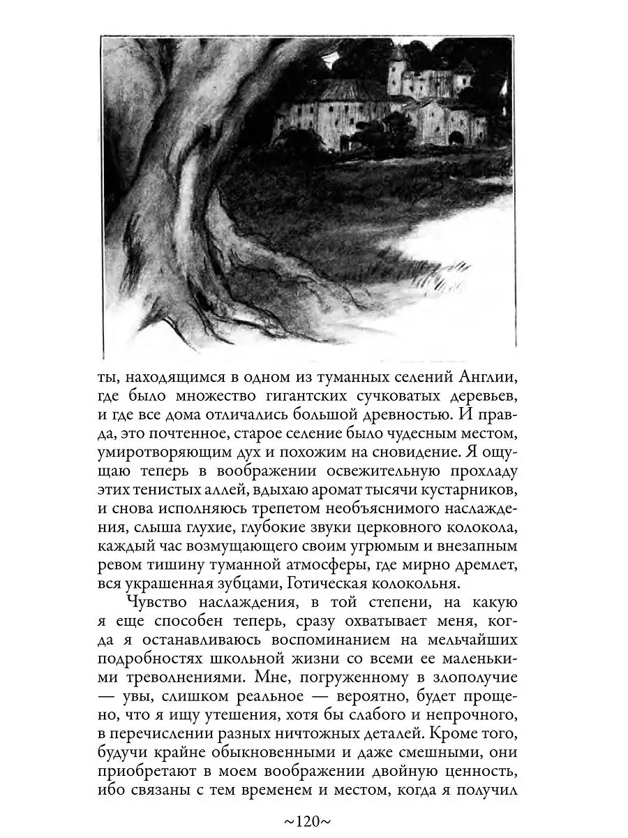 Эдгар По. Золотой жук. Иллюстрированное издание. Издательство СЗКЭО  14513698 купить в интернет-магазине Wildberries