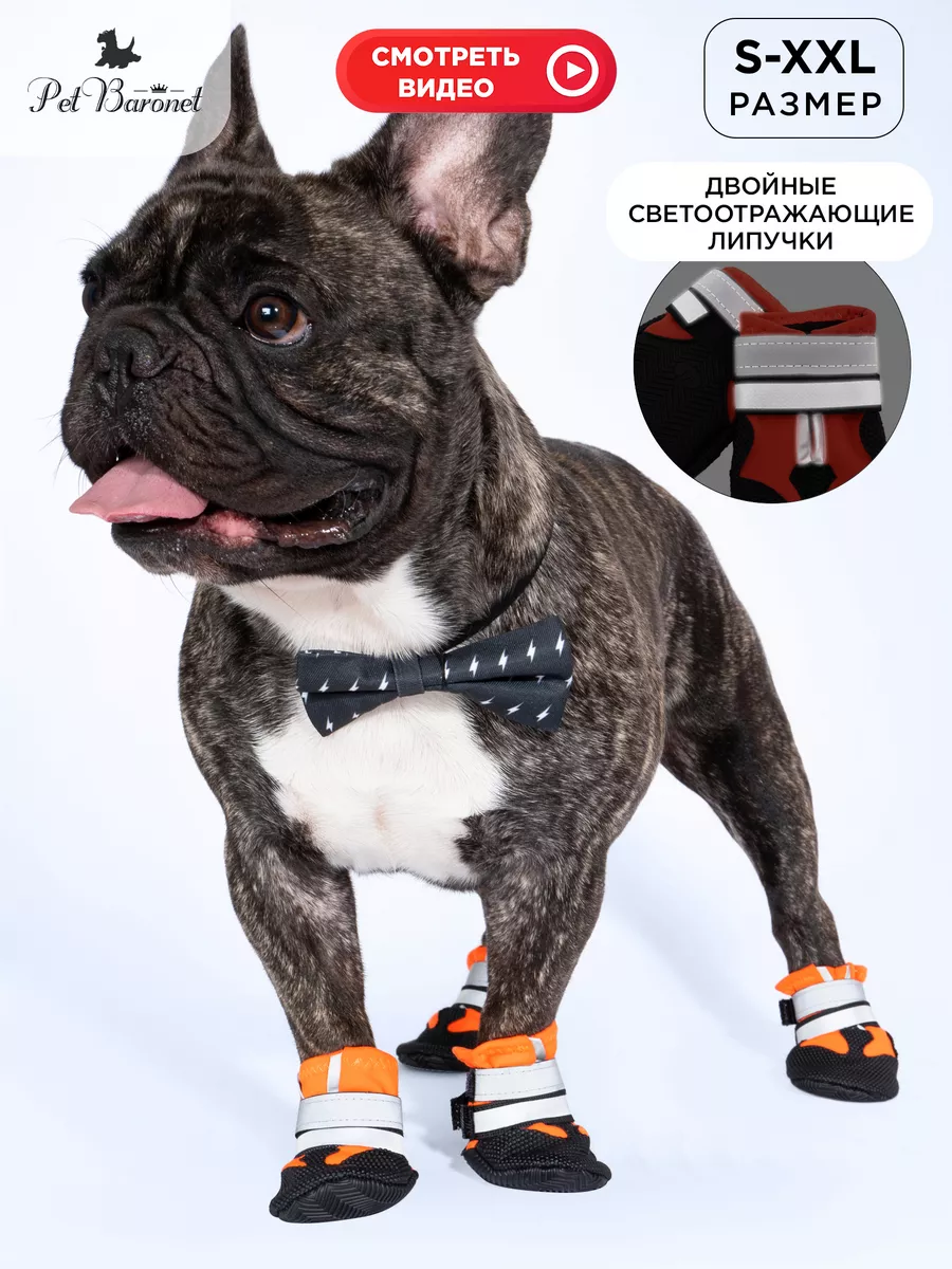 Обувь для собак крупных пород зимняя PetBaronet 14561271 купить за 1 023 ₽  в интернет-магазине Wildberries