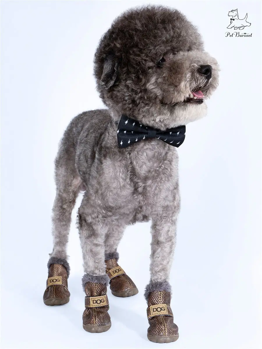 Зимняя Обувь для собак мелких и средних пород \