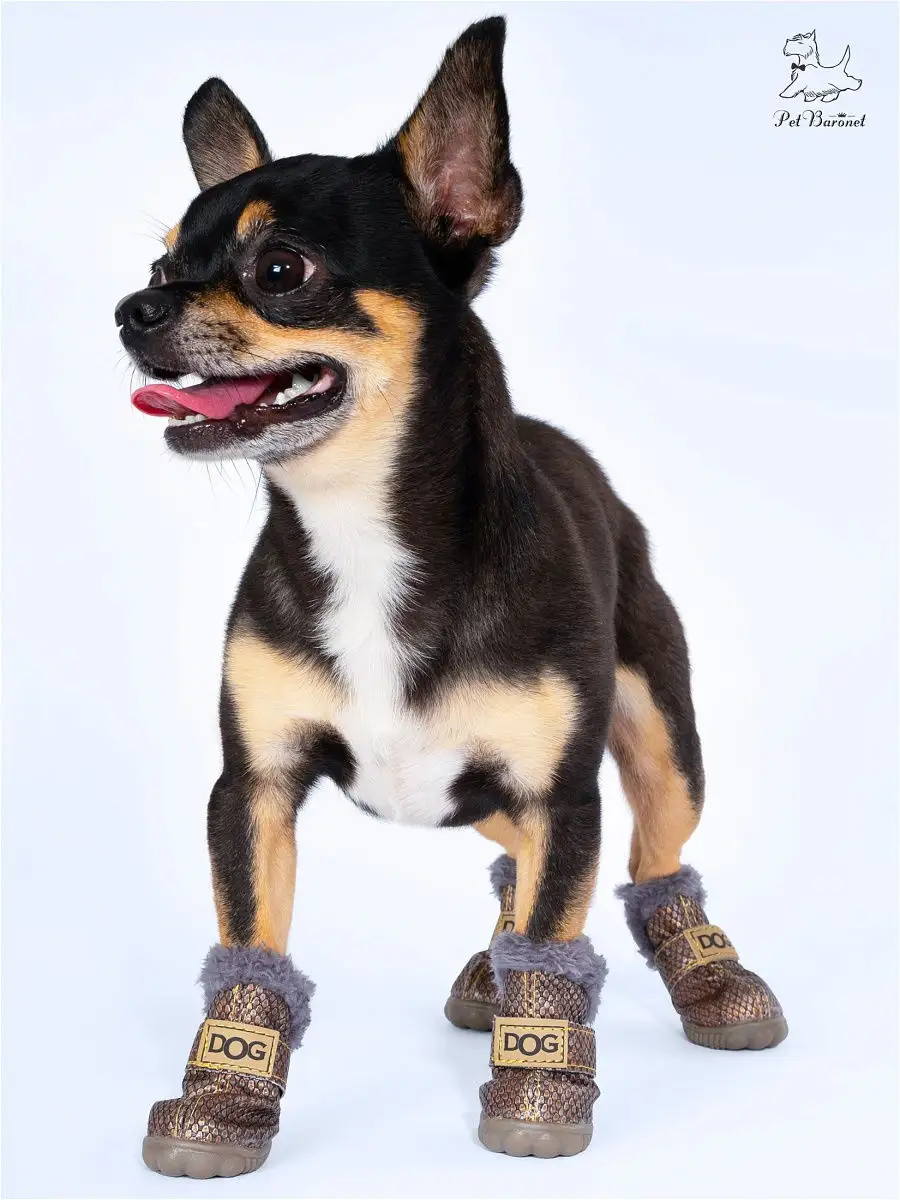 Обувь для собак, обувь для маленьких собак, носки для собак