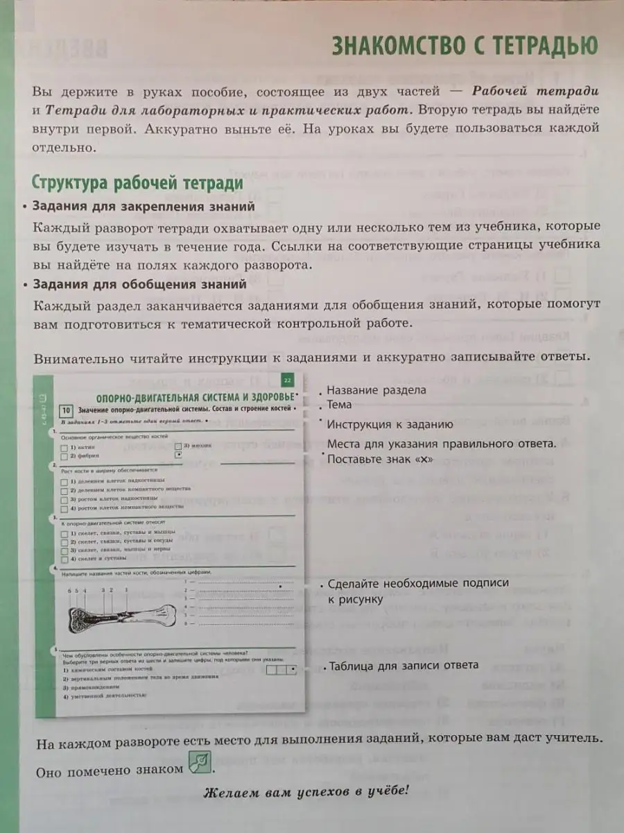 Биология. 8 класс. Рабочая тетрадь Наша школа 14616111 купить в  интернет-магазине Wildberries