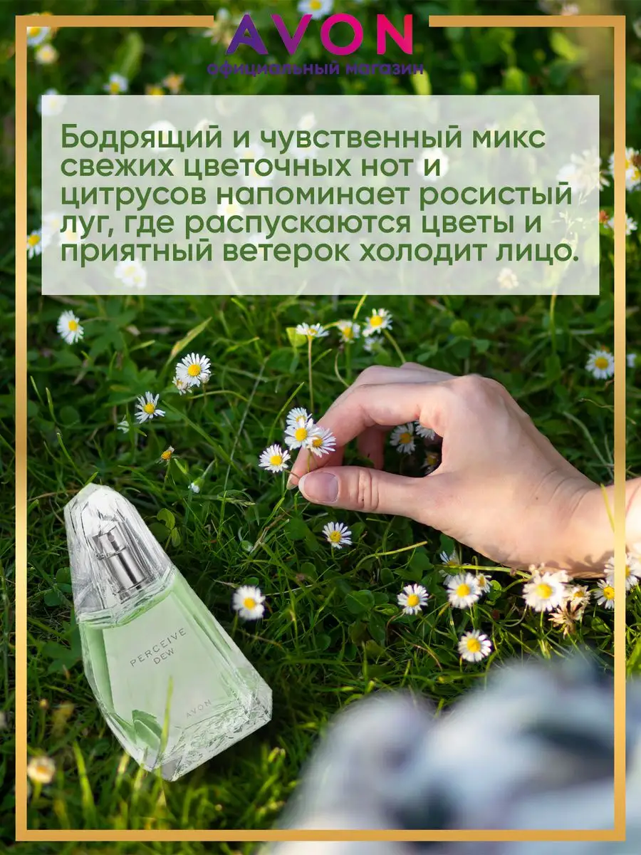 Туалетная вода женская Perceive Dew 50 мл эйвон AVON 14640541 купить за 703  ₽ в интернет-магазине Wildberries