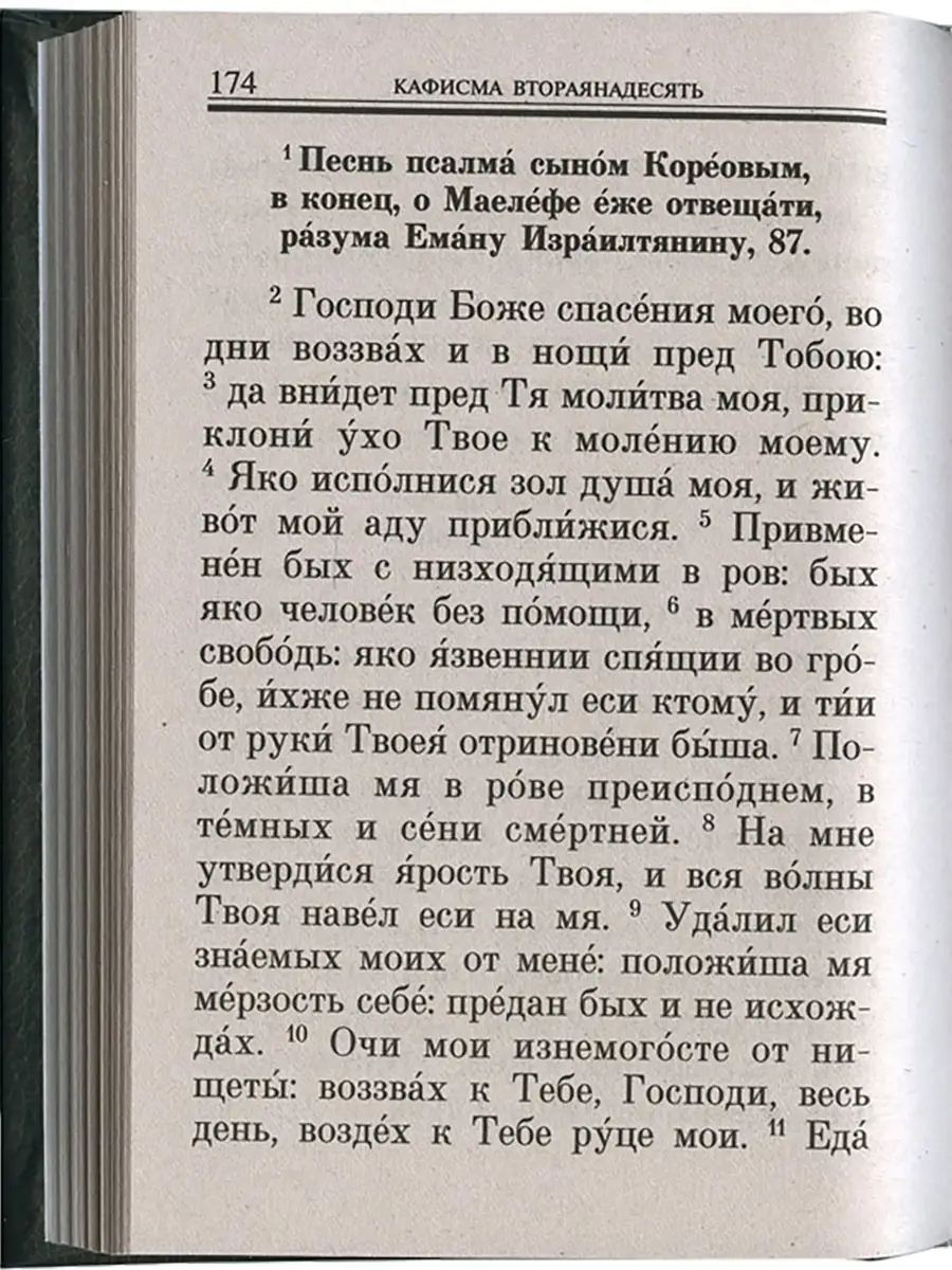 Псалтирь Помощник и Покровитель Синтагма 14646587 купить за 326 ₽ в  интернет-магазине Wildberries