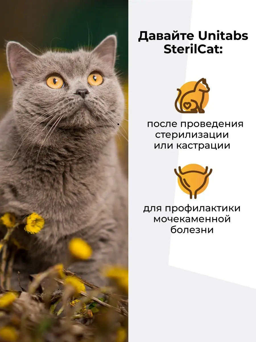 Мужчину насильно кастрировали в Узгене — медики рассказали о его состоянии