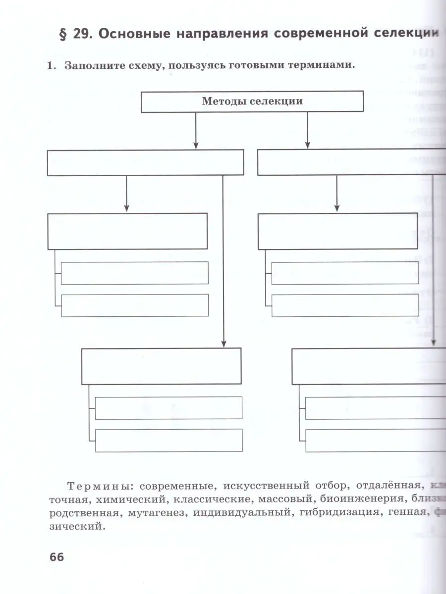 Биология 9 класс. Рабочая тетрадь к учебнику С.Б. Данилова Русское слово  14678827 купить за 320 ₽ в интернет-магазине Wildberries