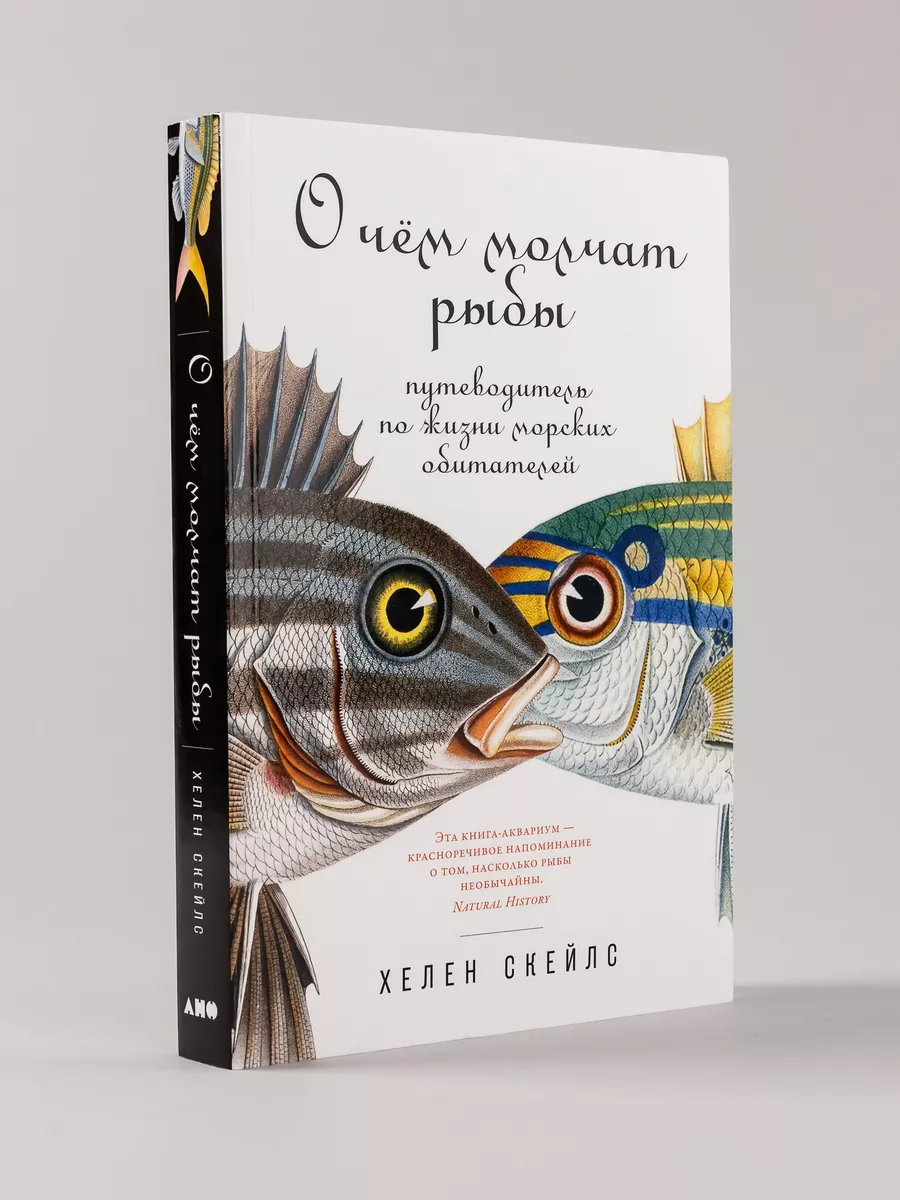 О чём молчат рыбы: Путеводитель по жизни Альпина. Книги 14718045 купить за  388 ₽ в интернет-магазине Wildberries