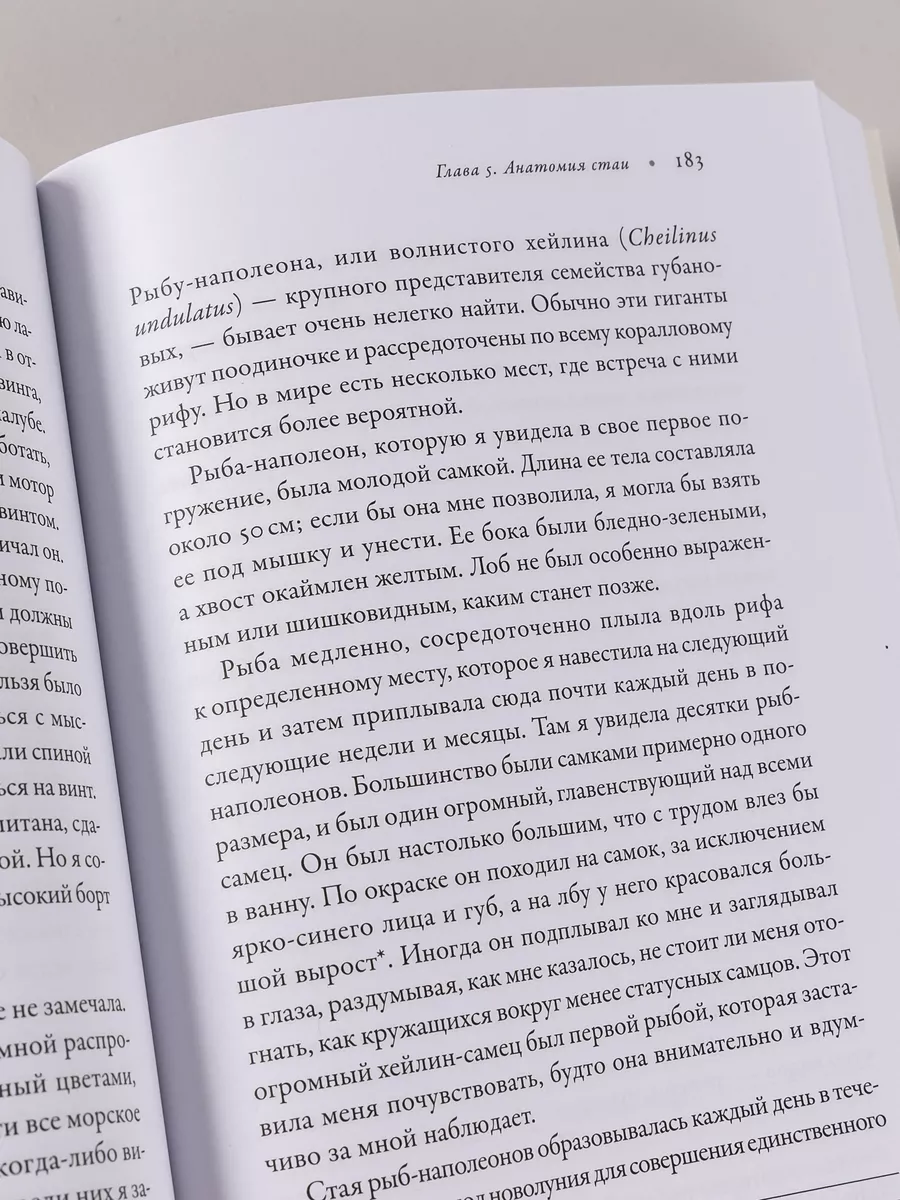 О чём молчат рыбы: Путеводитель по жизни Альпина. Книги 14718045 купить в  интернет-магазине Wildberries