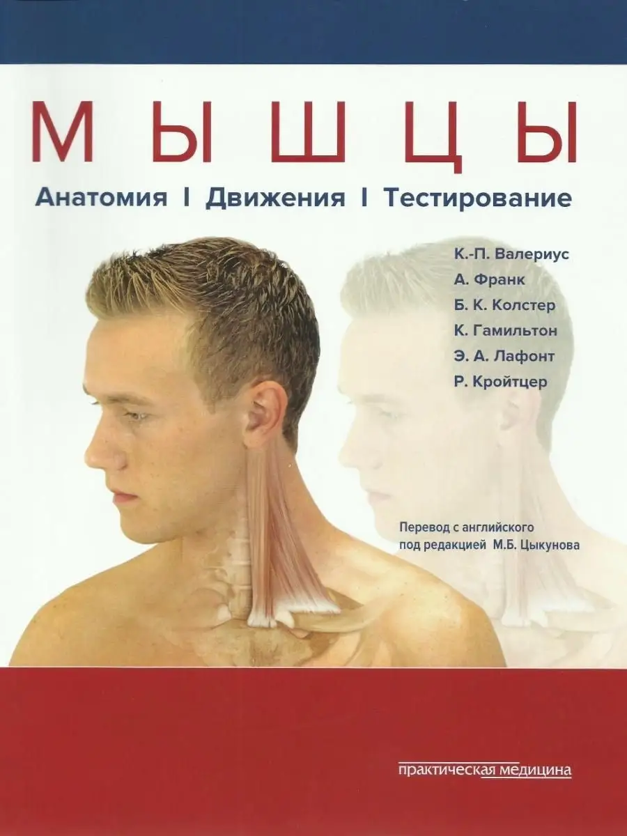 Мышцы. Анатомия. Движения. Тестирование