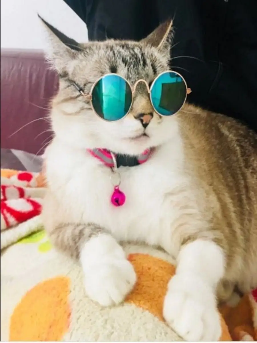 VideoMart Солнцезащитные очки для кошек и собак аксессуар для животных