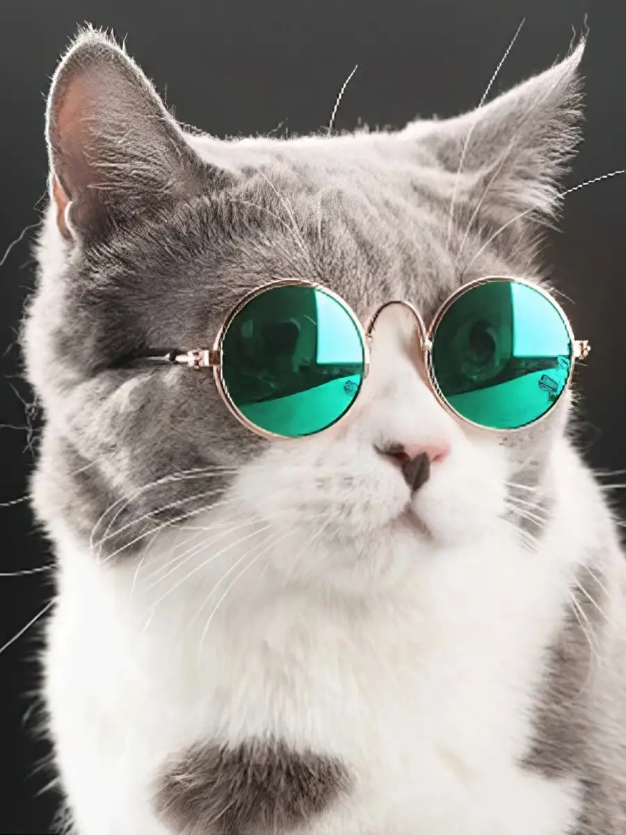 Солнцезащитные очки для кошек и собак аксессуар для животных VideoMart  14766992 купить за 39 000 сум в интернет-магазине Wildberries