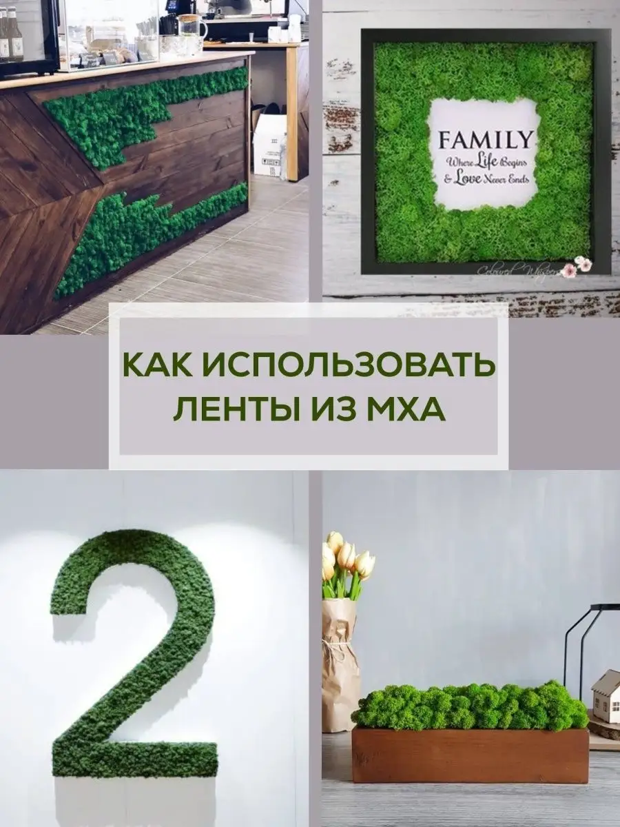 Лента самоклеящаяся мох декоративный Bloom Showroom 14776194 купить за 545  ₽ в интернет-магазине Wildberries