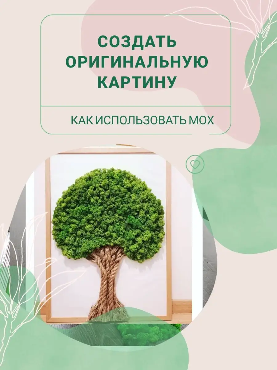 Мох стабилизированный Bloom Showroom 14776196 купить в интернет-магазине  Wildberries