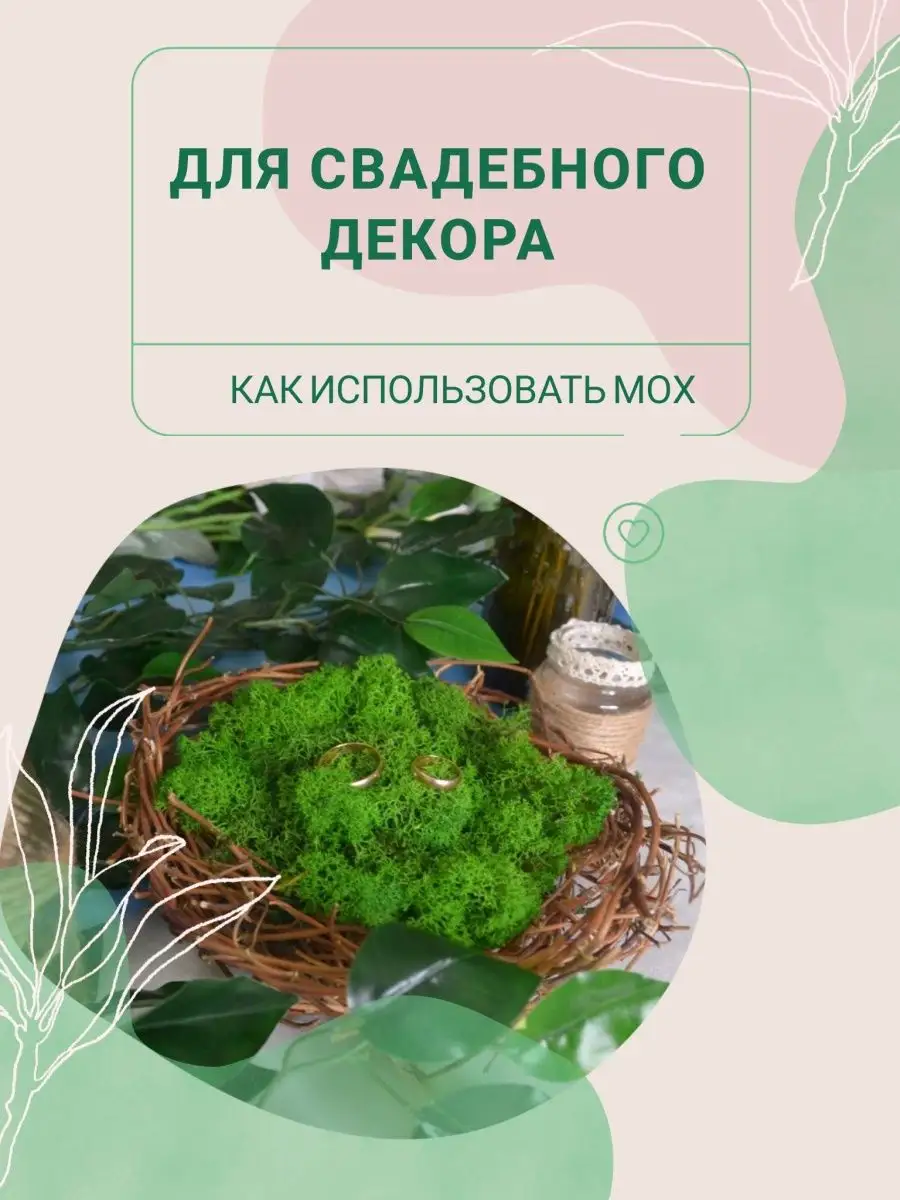 Мох стабилизированный Bloom Showroom 14776196 купить в интернет-магазине  Wildberries