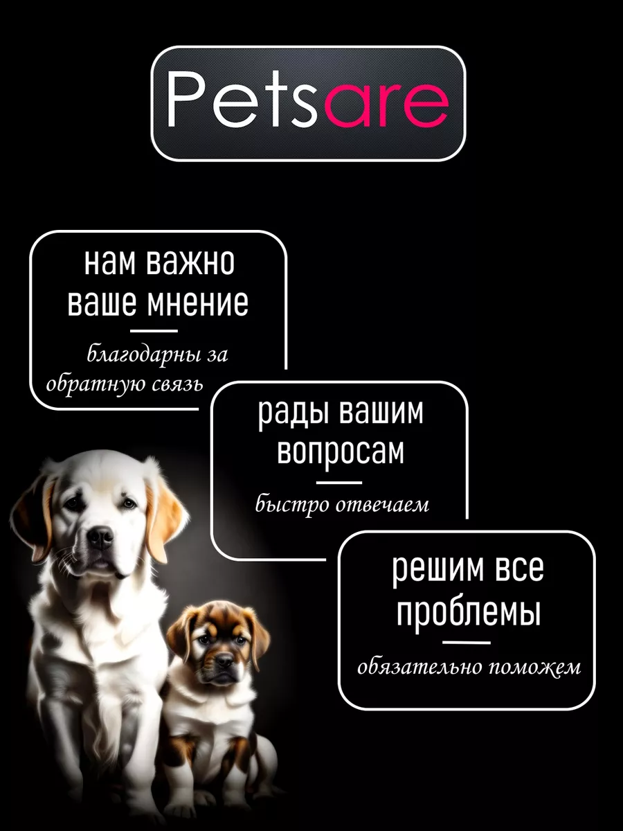 Поводок для собак и щенков Petsare 14806712 купить за 215 ₽ в  интернет-магазине Wildberries