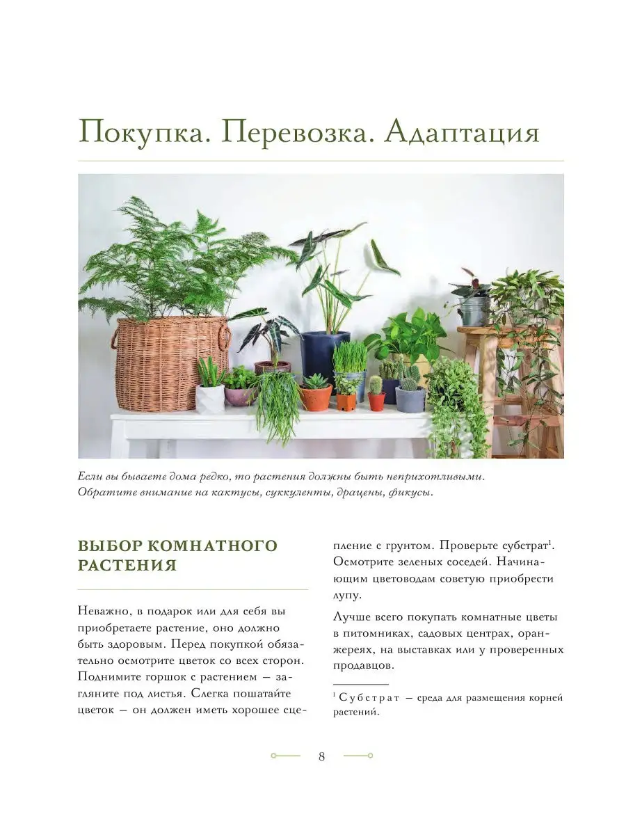 Цветок в горшке Эксмо 14808548 купить за 550 ₽ в интернет-магазине  Wildberries