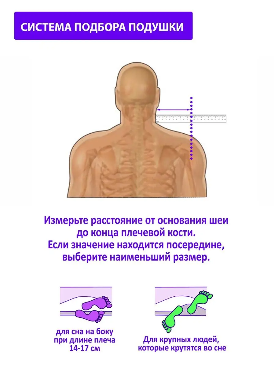 Подушка ортопедическая c защитой от вирусов 15 см. Intellecta 14841313  купить за 4 607 ₽ в интернет-магазине Wildberries