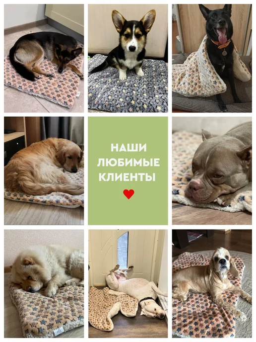 MiloPets Коврик подстилка для собак средних и крупных пород лежанка, вариант, фото 4