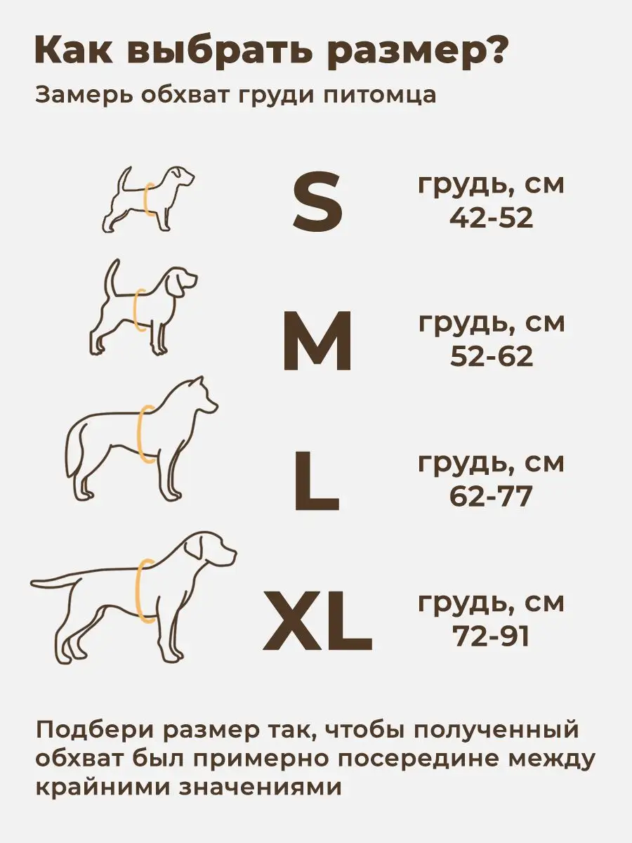 Как выбрать шлейку для питомца