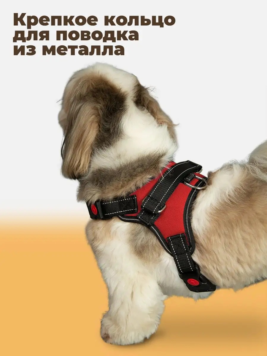 Шлейка для собаки своими руками: пошаговая инструкция