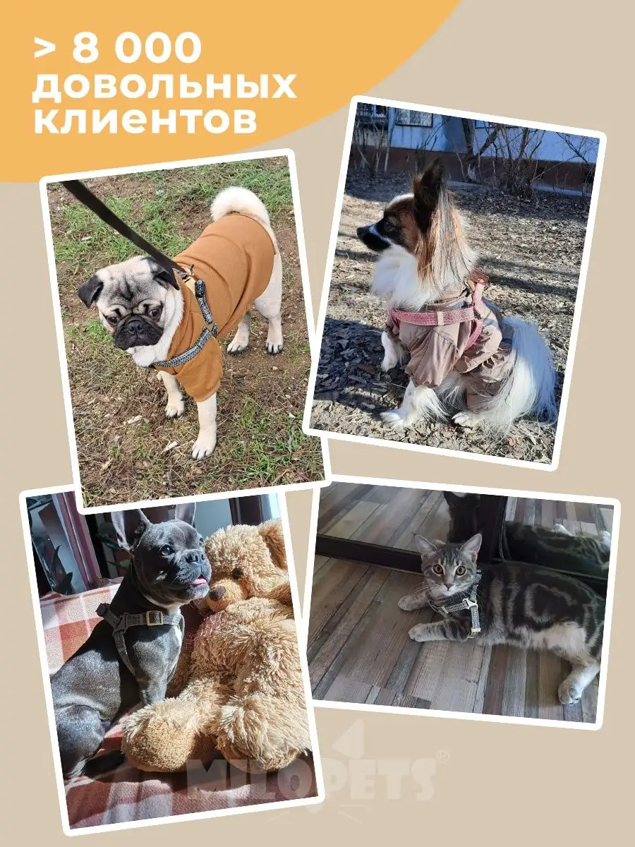 Шлейка для собак и кошек MiloPets 14847953 купить за 279 ₽ в  интернет-магазине Wildberries