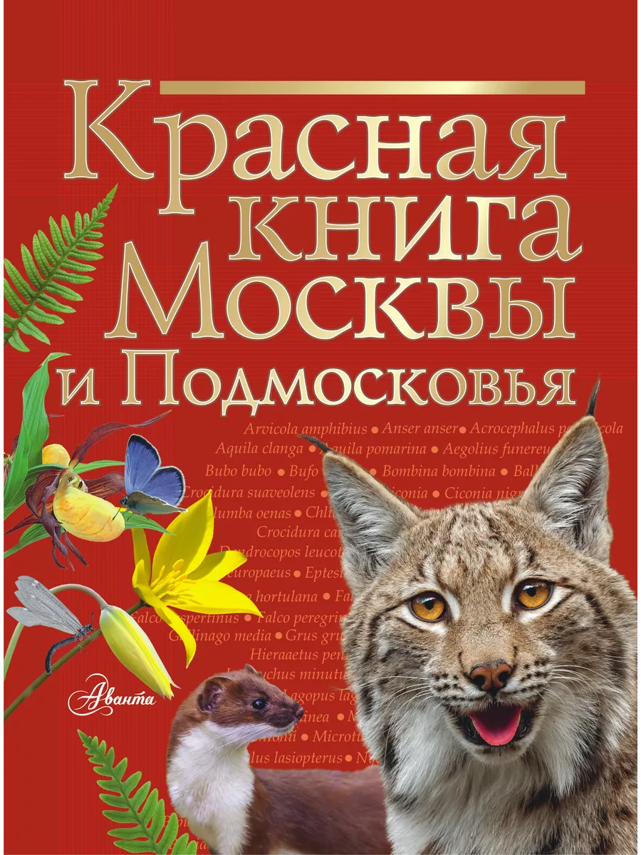 Красная книга Москвы и Подмосковья Издательство АСТ 14860516 купить за 700  ₽ в интернет-магазине Wildberries