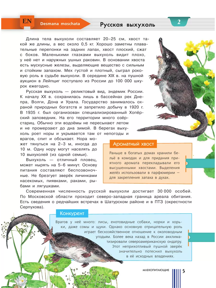 Красная книга Москвы и Подмосковья Издательство АСТ 14860516 купить за 700  ₽ в интернет-магазине Wildberries