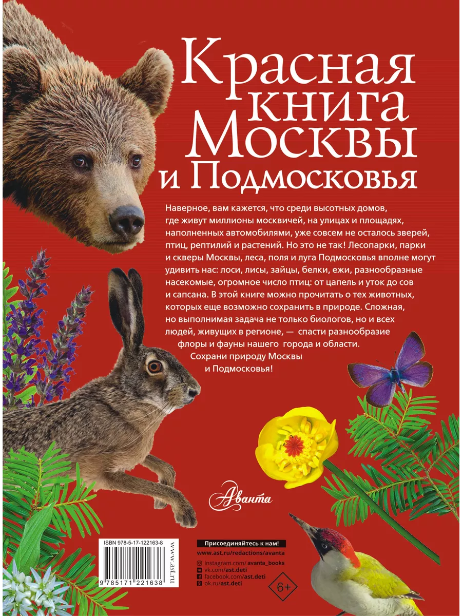 Красная книга Москвы и Подмосковья Издательство АСТ 14860516 купить за 700  ₽ в интернет-магазине Wildberries