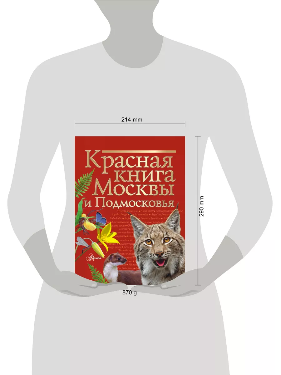 Красная книга Москвы и Подмосковья Издательство АСТ 14860516 купить за 700  ₽ в интернет-магазине Wildberries