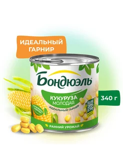 Молодая Кукуруза, 340г Bonduelle 14943590 купить за 135 ₽ в интернет-магазине Wildberries