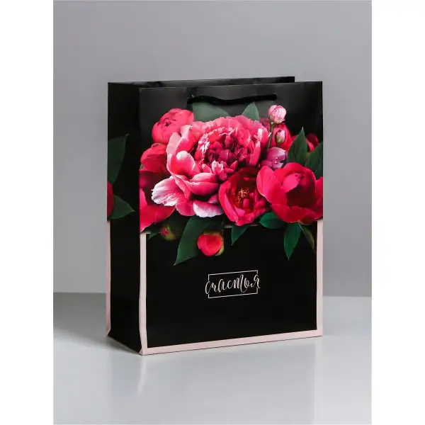 Упаковка на день рождения Пакет вертикальный 18х23х10 см