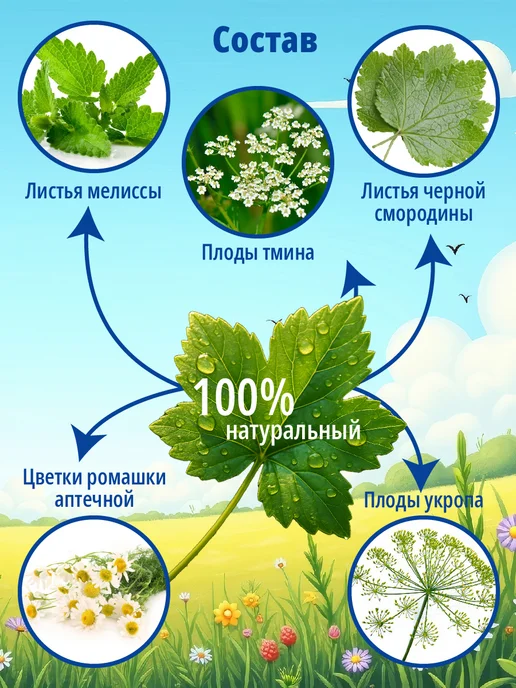 Алтайский кедр Чай детский травяной Фитоша №1 Аппетит-ка, улучшает аппетит, 20 шт, фото 2