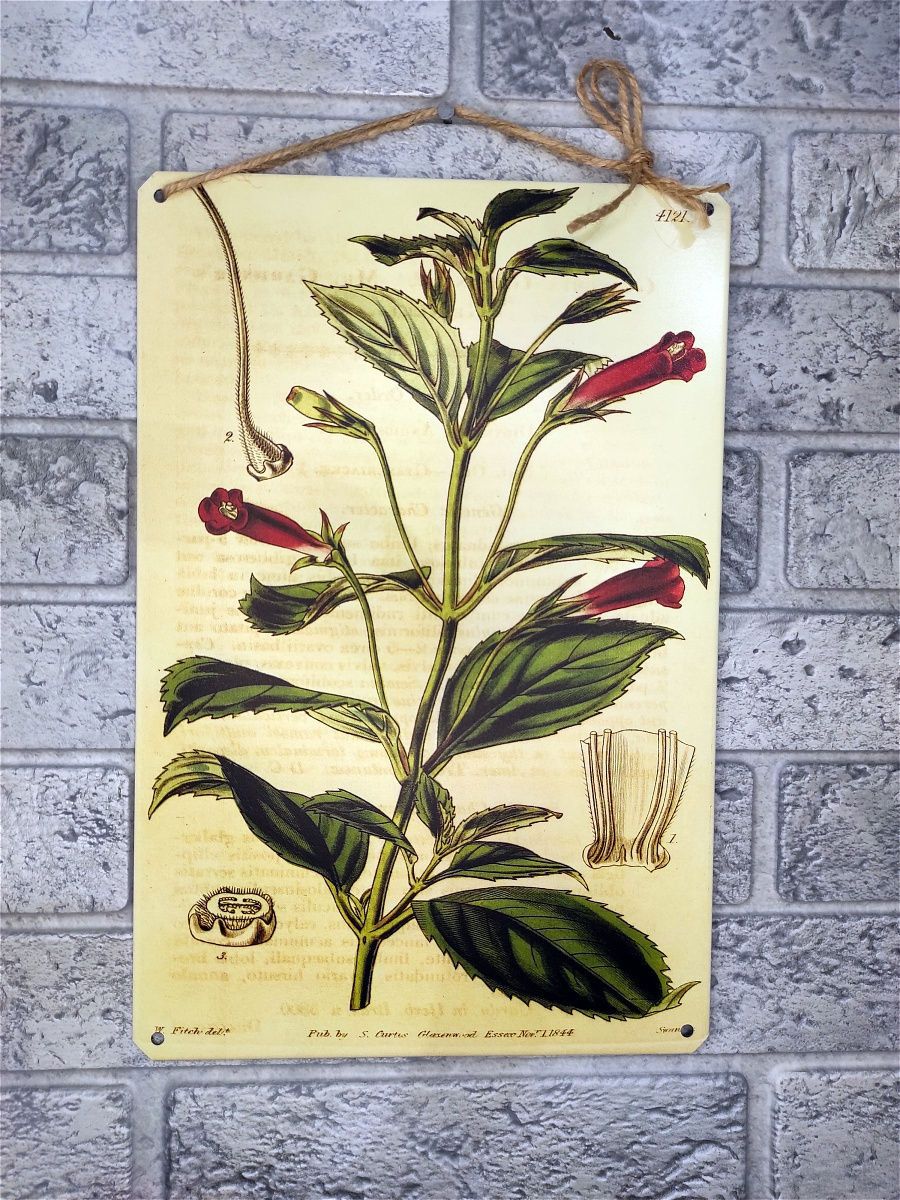 Все ботанические науки. Постер ботаника. Металлические картины с цветами. Картина из металла. Таблички для растений.