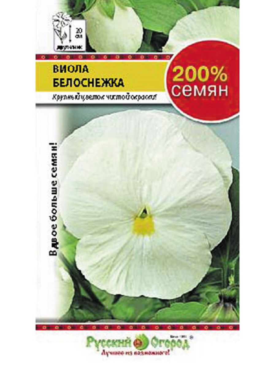 Интернет магазин виола отзывы. Виола семена. Виола белоснежная. Виола Белоснежка фото. Виола(семена Алтая) Белоснежка.