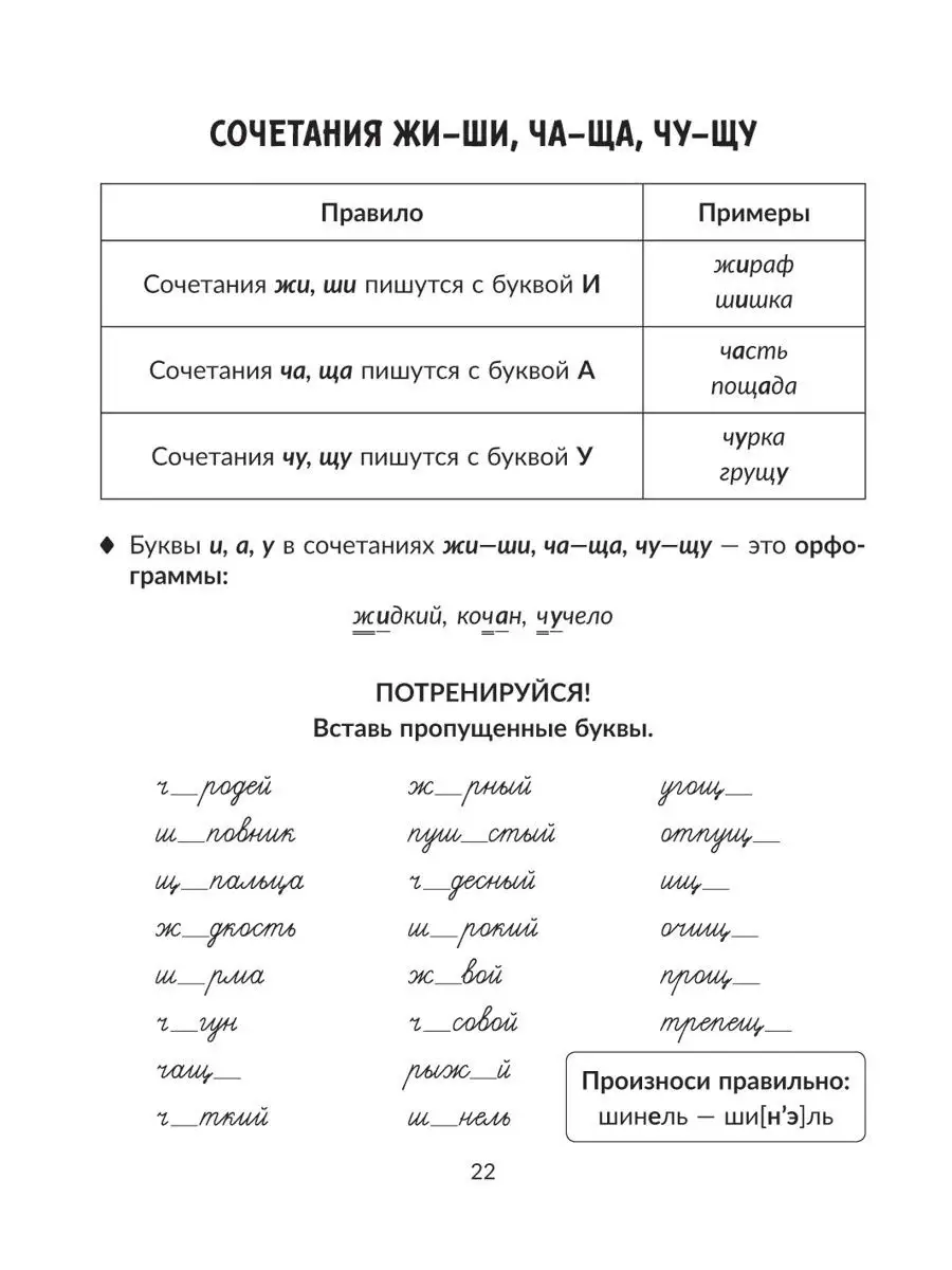 Все правила русского языка с примерами ИД ЛИТЕРА 15020489 купить за 278 ₽ в  интернет-магазине Wildberries