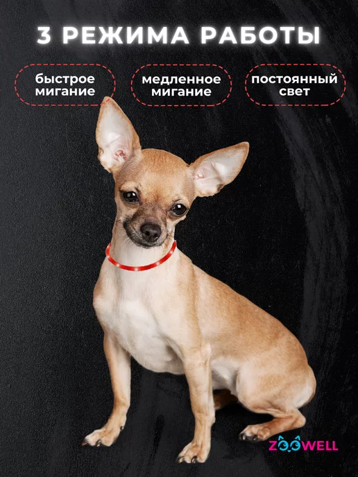 Zoowell Светящийся ошейник, точечное свечение, размер S, красный, фото 2