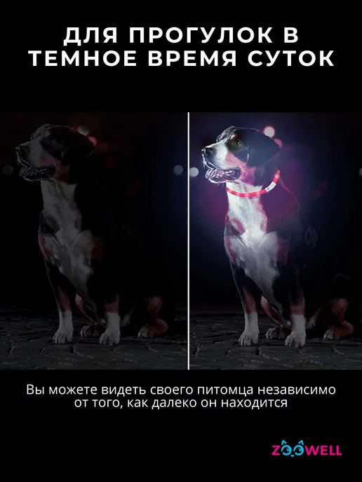 Zoowell Светящийся ошейник, точечное свечение, размер S, красный, фото 4