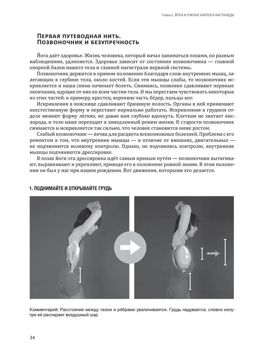 Йога, вечность и учение Карлоса Кастанеды. Амрита 15070679 купить за 801 ₽  в интернет-магазине Wildberries