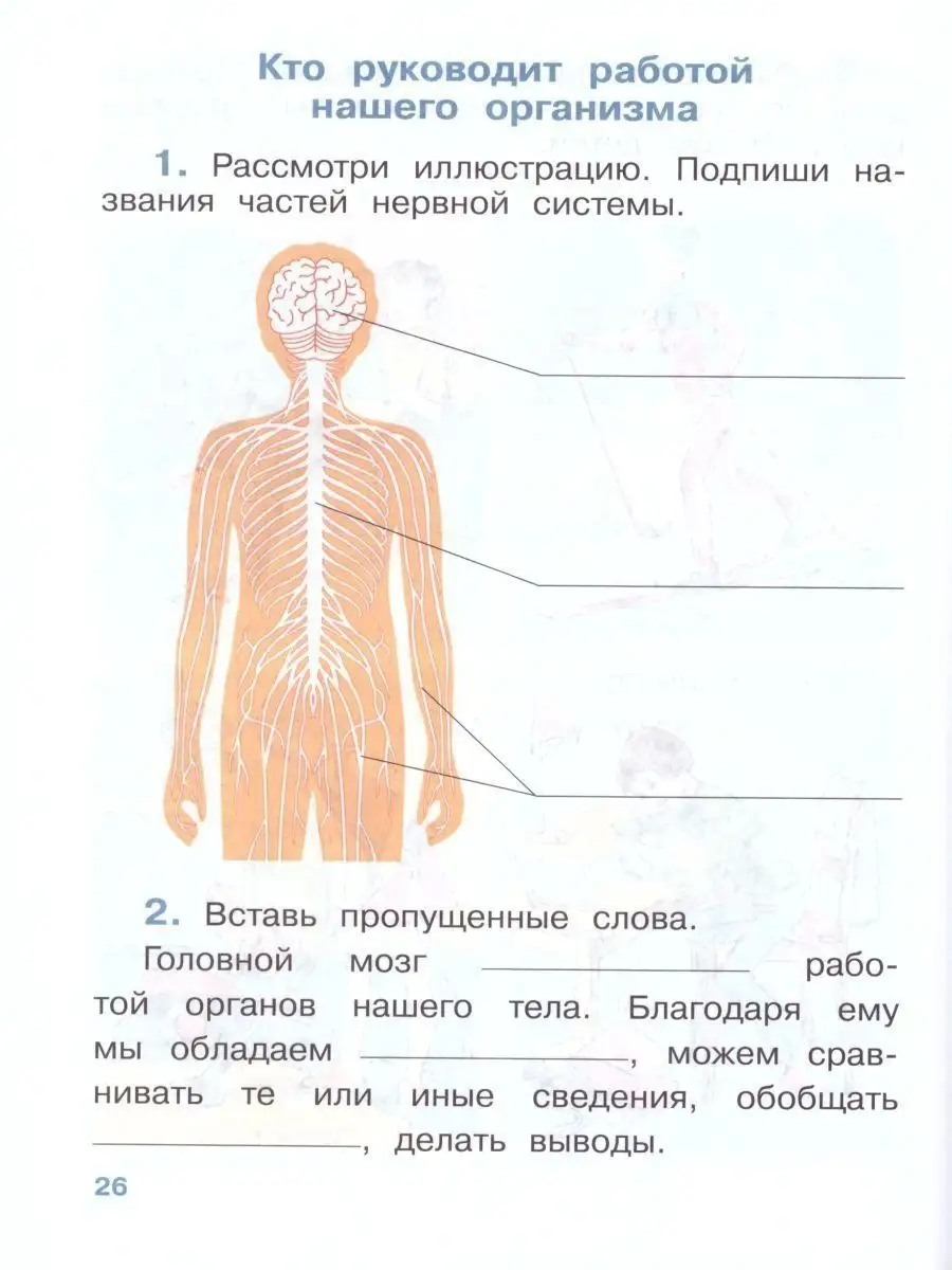 Окружающий мир 4 класс. Рабочая тетрадь.В 2-х частях.Часть 1 Просвещение  15085231 купить за 343 ₽ в интернет-магазине Wildberries