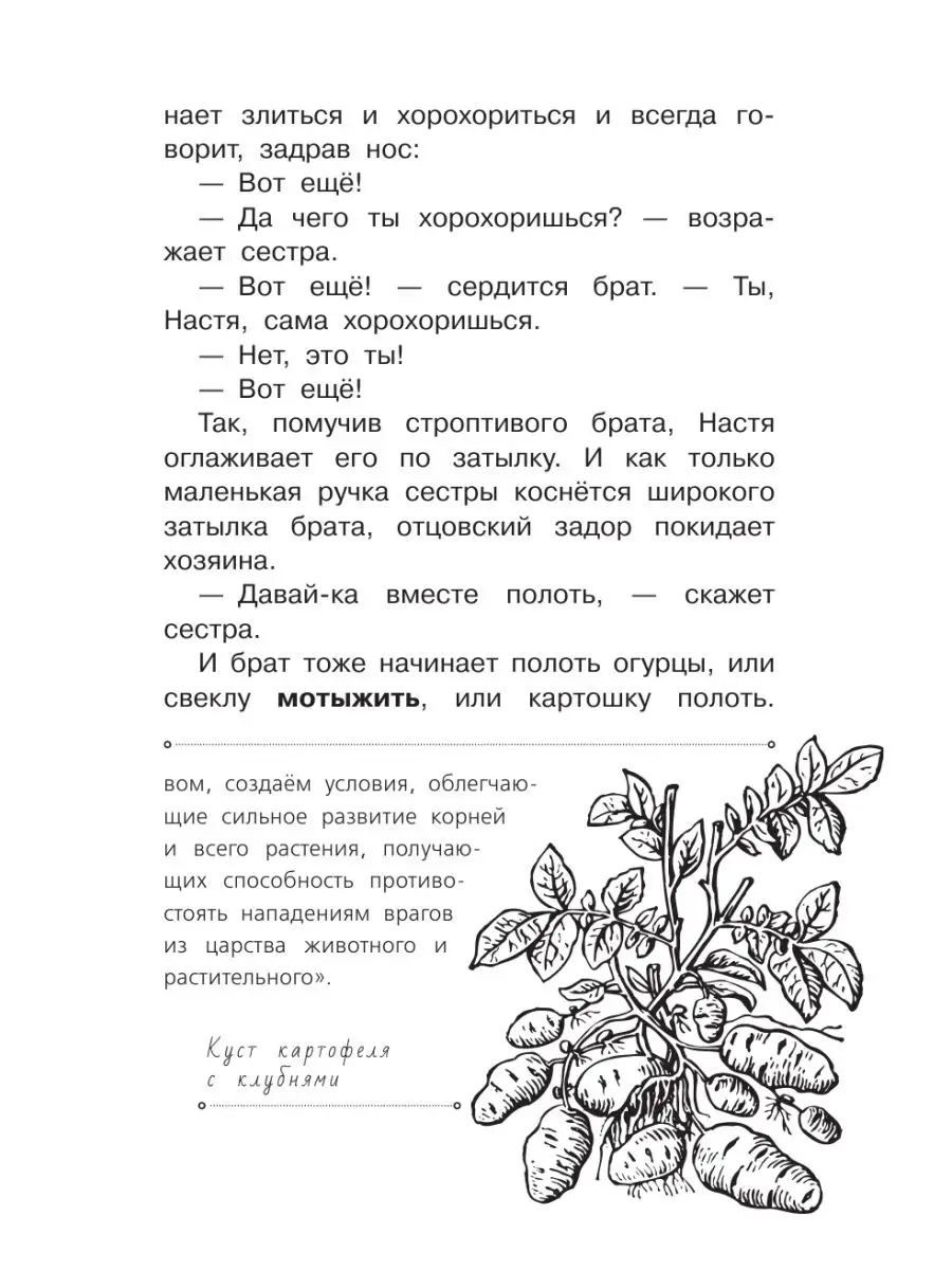 Кладовая солнца Издательство АСТ 15097700 купить за 393 ₽ в  интернет-магазине Wildberries