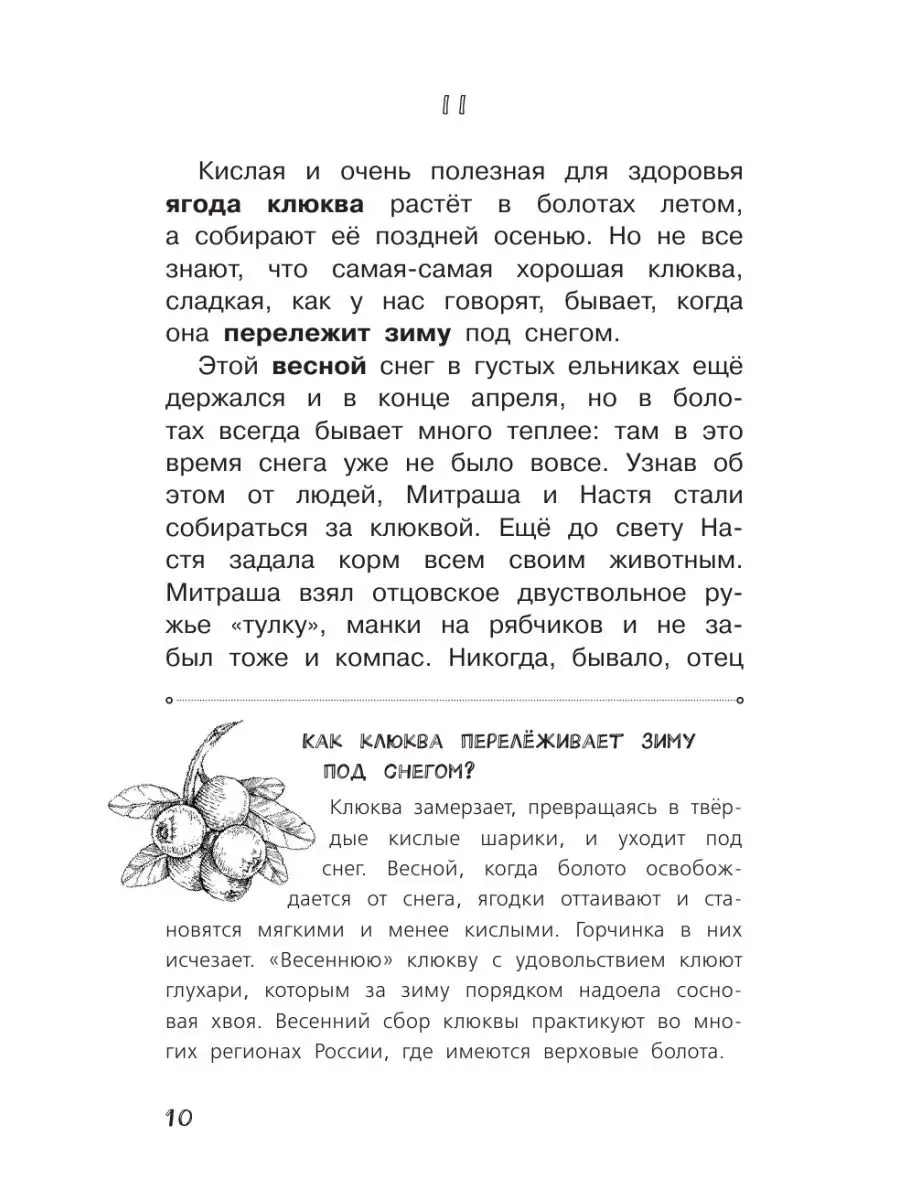 Кладовая солнца Издательство АСТ 15097700 купить за 393 ₽ в  интернет-магазине Wildberries