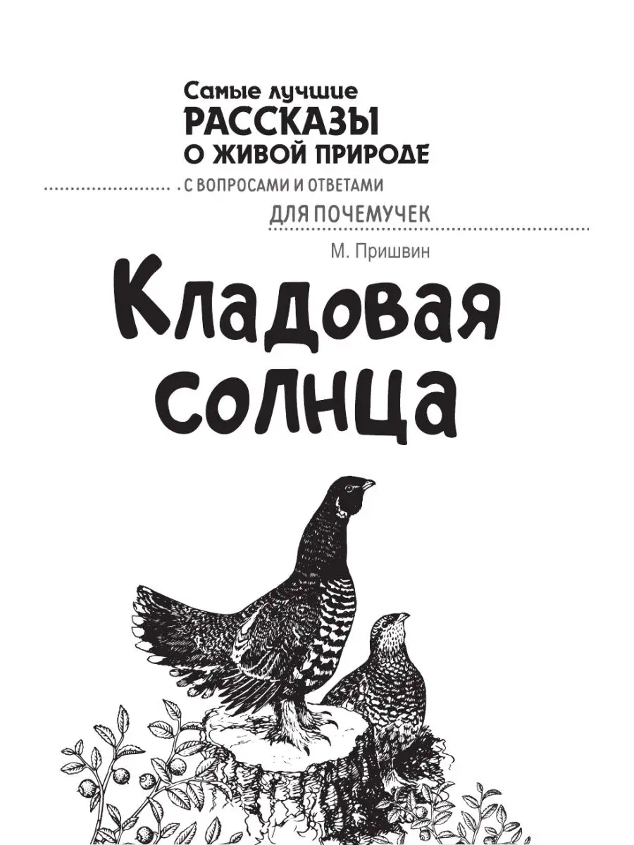 Кладовая солнца Издательство АСТ 15097700 купить за 359 ₽ в  интернет-магазине Wildberries