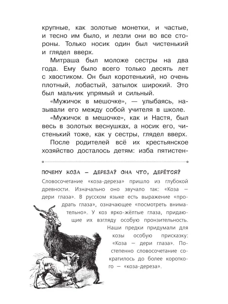 Кладовая солнца Издательство АСТ 15097700 купить за 359 ₽ в  интернет-магазине Wildberries