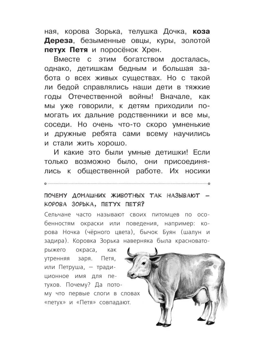 Кладовая солнца Издательство АСТ 15097700 купить за 359 ₽ в  интернет-магазине Wildberries