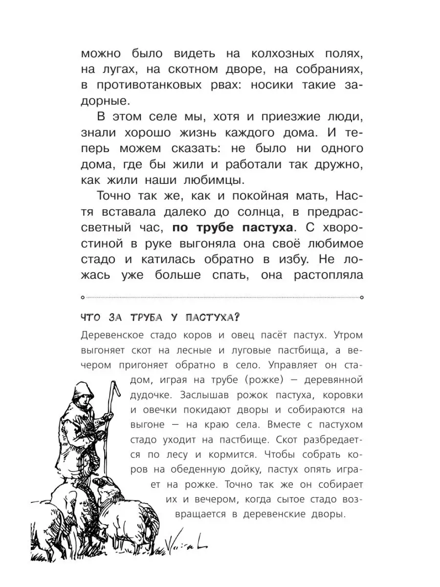 Кладовая солнца Издательство АСТ 15097700 купить за 393 ₽ в  интернет-магазине Wildberries