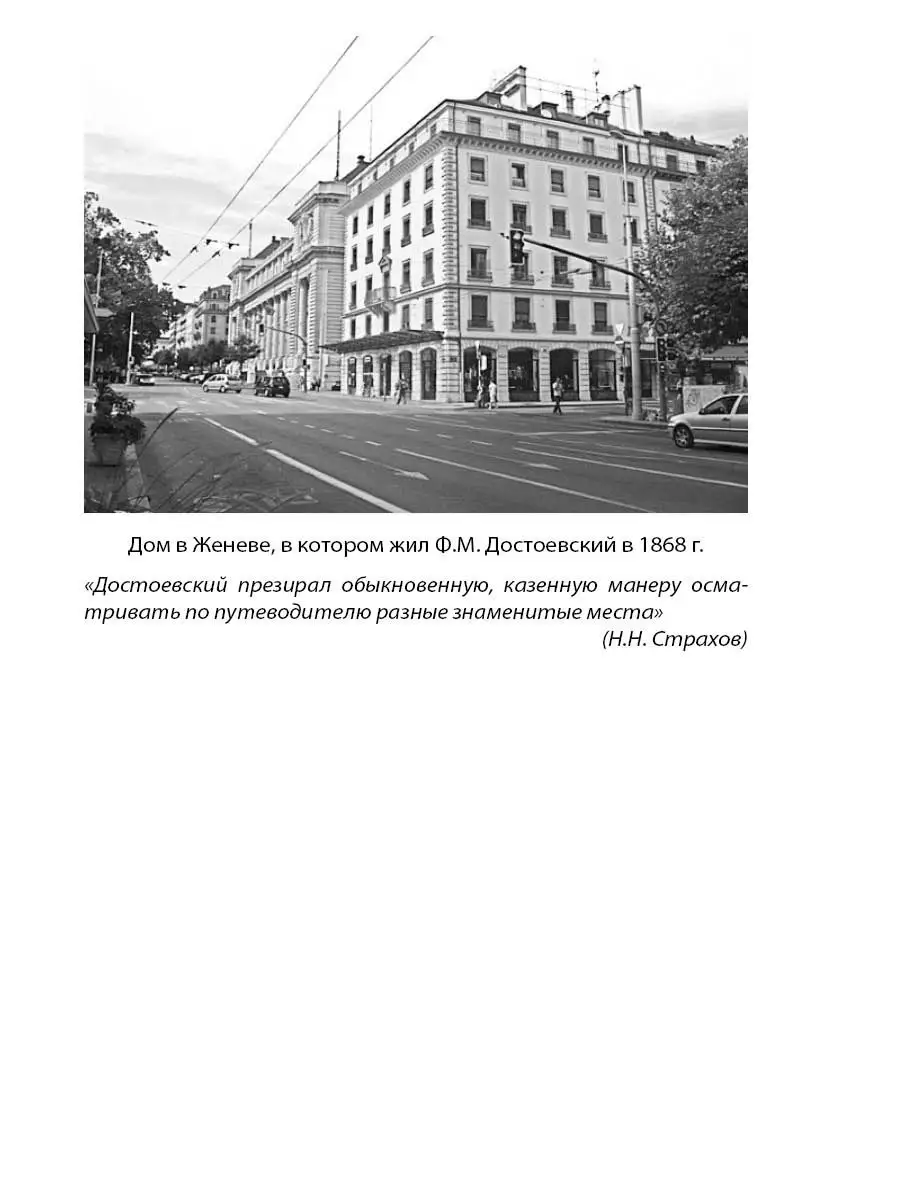 Мой муж Федор Достоевский. Жизнь в тени гения Издательство Родина 15201926  купить за 757 ₽ в интернет-магазине Wildberries