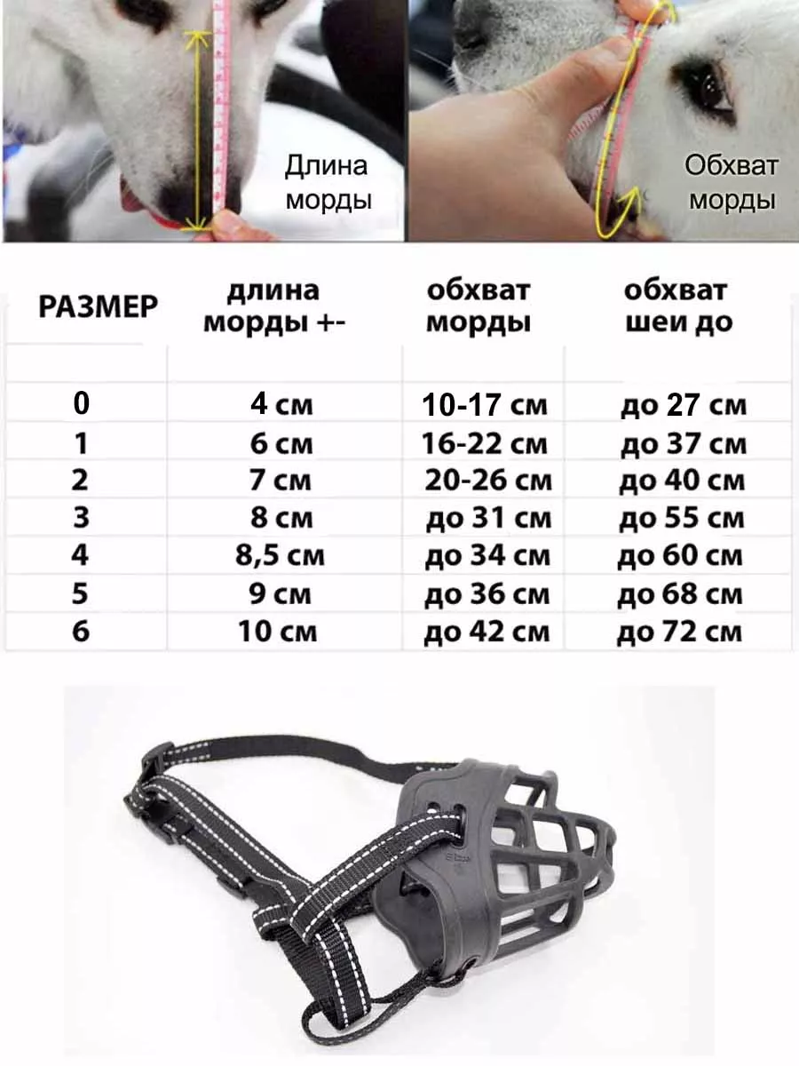 Надеть намордник, снять на видео: что изменится в законе о животных с 1 января