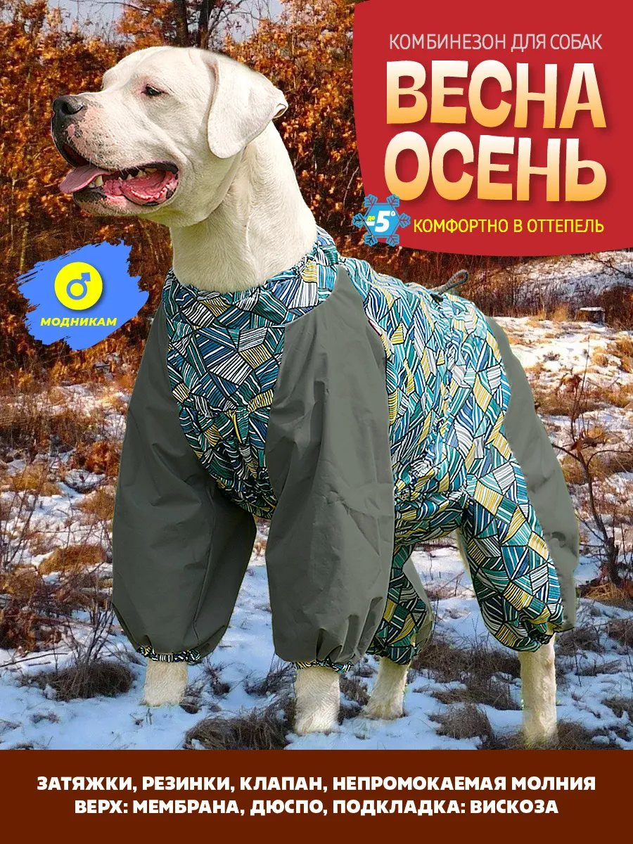 Комбинезон дождевик для больших и средних собак