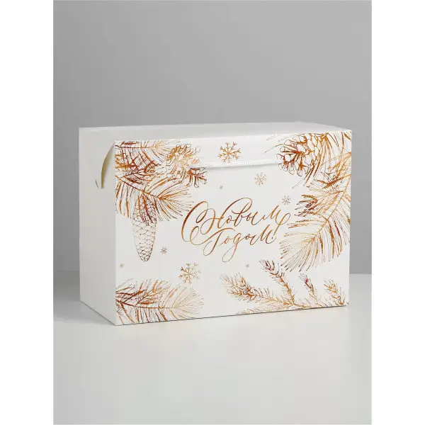 Пакет-коробка 28 х 20 х 13 см