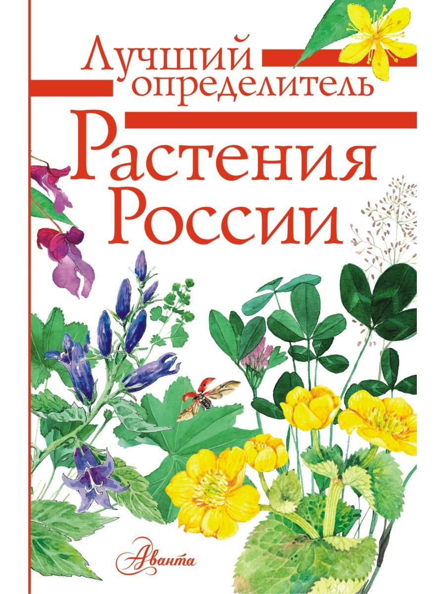 Растения России/ Лучший определитель Издательство АСТ 15327785 купить за  400 ₽ в интернет-магазине Wildberries