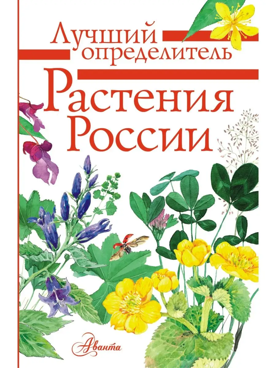 Растения России/ Лучший определитель Издательство АСТ 15327785 купить за  468 ₽ в интернет-магазине Wildberries